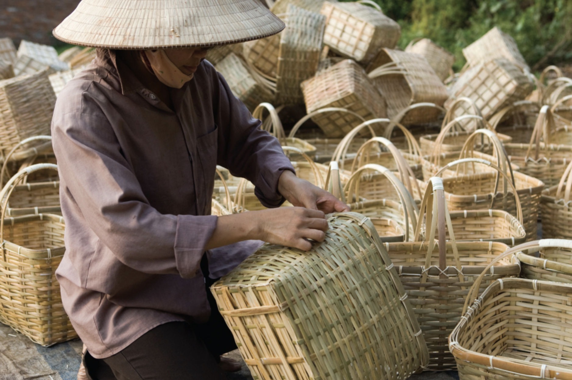 mây tre đan