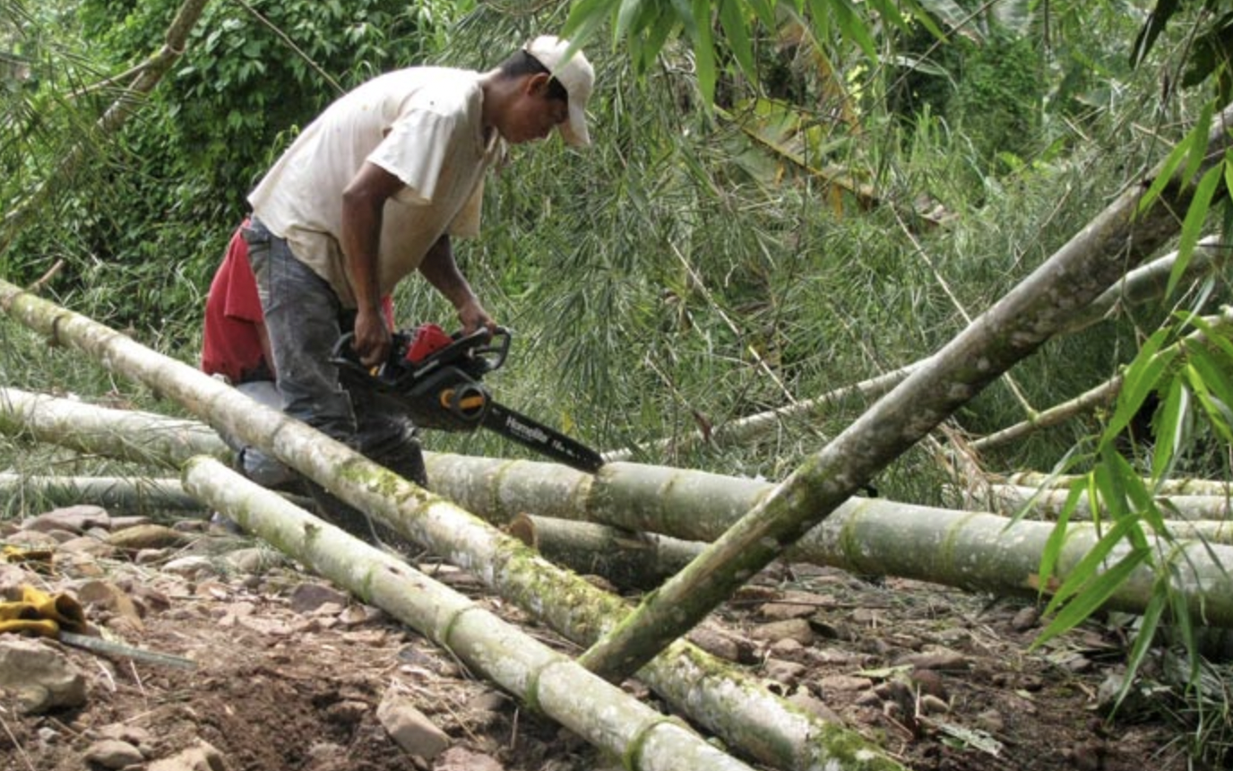 chất lượng đồ mây tre đan 