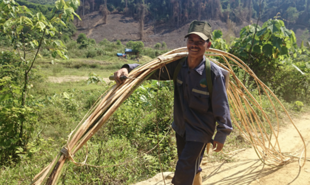 nội thất mây 